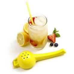 Norpro Lemon Juicer (01-526) -Global Store 01 526 Norpro Lemon Juicer NO0311 3 24073.1662761834