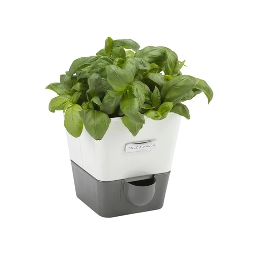 Cole & Mason Self Watering Herb Keeper (H105249U)