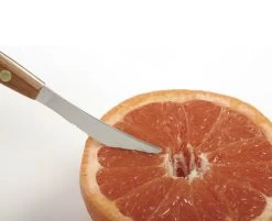 Norpro Grapefruit Knife (NP1270) -Global Store N1270 Norpro Grapefruit Knife NO0312 3 94696.1677791148