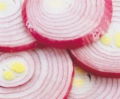 Kussi Mandoline (KUS0208) -Global Store Onion 08357.1663880437